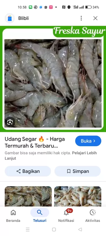 Udang ukuran besar